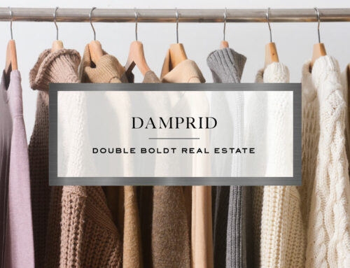 Why We Recommend DampRid